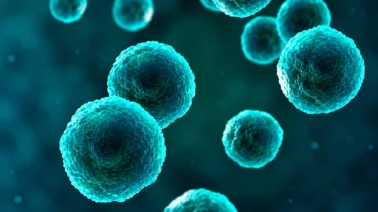 Brote de diarrea por parásito Cyclospora: Qué es, síntomas y cómo proteger tus alimentos
