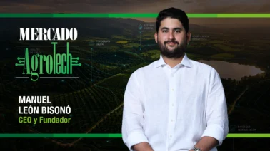 La siembra como inversión