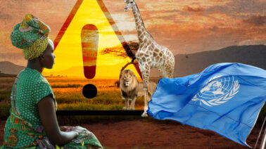 La ONU alerta que los esfuerzos para proteger la biodiversidad siguen siendo insuficientes