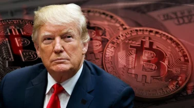 La criptomoneda de Trump se desploma: Millones de inversores pierden fortunas