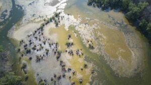 Agencia científica de la ONU confirma que se está formando un fuerte episodio de El Niño