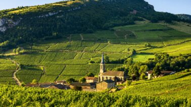 ¿Qué explica el creciente atractivo de Borgoña en el mercado del vino fino?