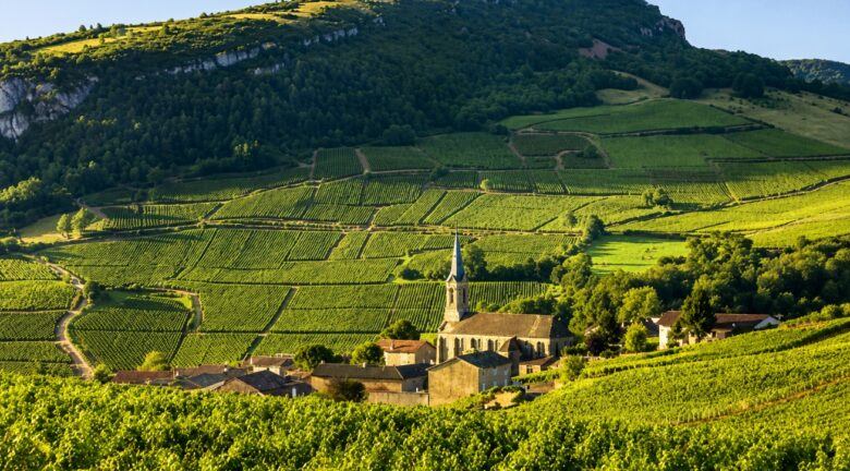 ¿Qué explica el creciente atractivo de Borgoña en el mercado del vino fino?