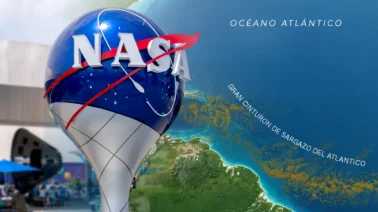 La NASA alerta sobre el cinturón de sargazo en el Atlántico: Qué es y cómo afecta al Caribe