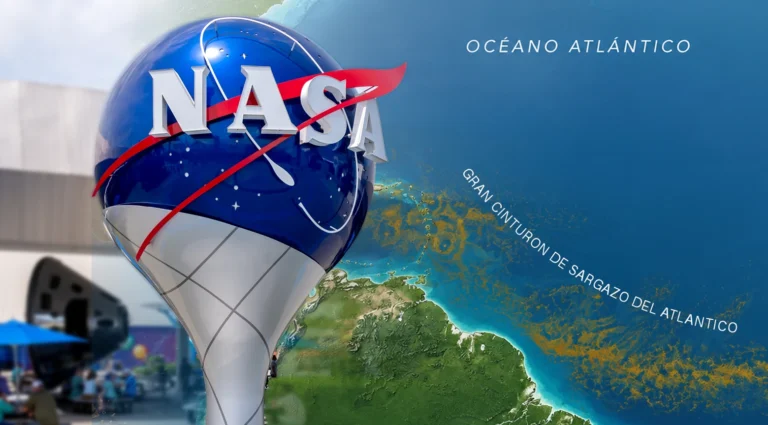 La NASA alerta sobre el cinturón de sargazo en el Atlántico: Qué es y cómo afecta al Caribe