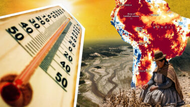El Niño amenaza los cultivos de cacao, açaí y guaraná en la Amazonía: ¿qué puede pasar?