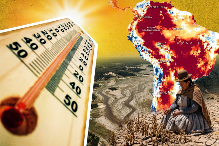 El Niño amenaza los cultivos de cacao, açaí y guaraná en la Amazonía: ¿qué puede pasar?