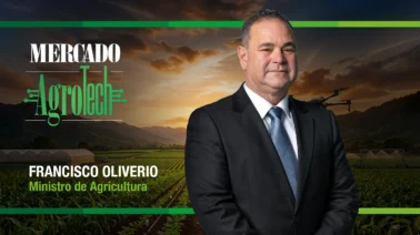 Maquinaria para cultivar más y mejor. Claves del ambicioso programa que quiere modernizar el campo dominicano.