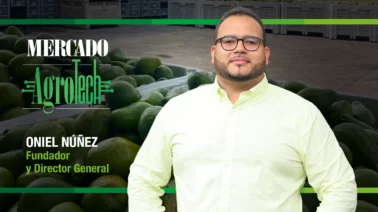 Valor que se transforma