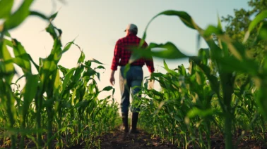 Plantean que Inabie y Comedores Económicos adquieran el 100% de sus insumos en el campo dominicano