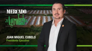 Evolución con propósito