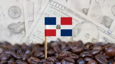Récord cacaotero en RD: Las exportaciones de cacao dominicano alcanzaron los US$ 669 millones