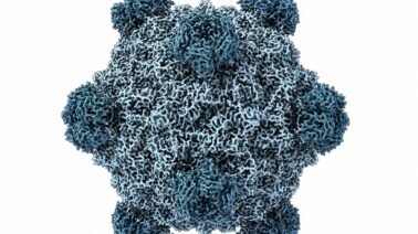 Una IA diseñó 700.000 genomas virales: 16 dieron lugar a nuevos virus