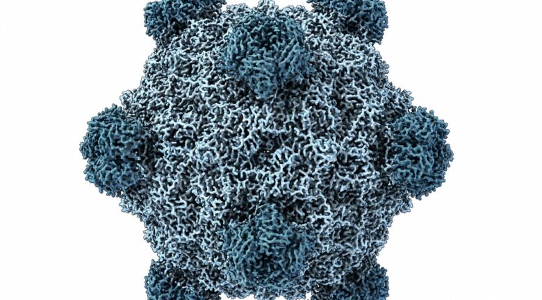 Una IA diseñó 700.000 genomas virales: 16 dieron lugar a nuevos virus