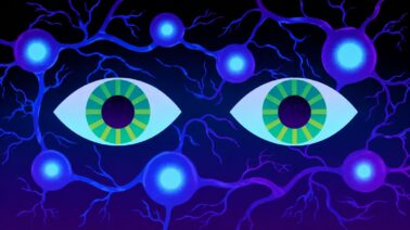 ¿Tendrá el cerebro su propio Ozempic?