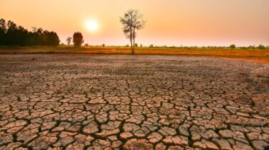 Alarma por El Niño 2026: El mapa de los países más afectados en América Latina y las medidas de emergencia