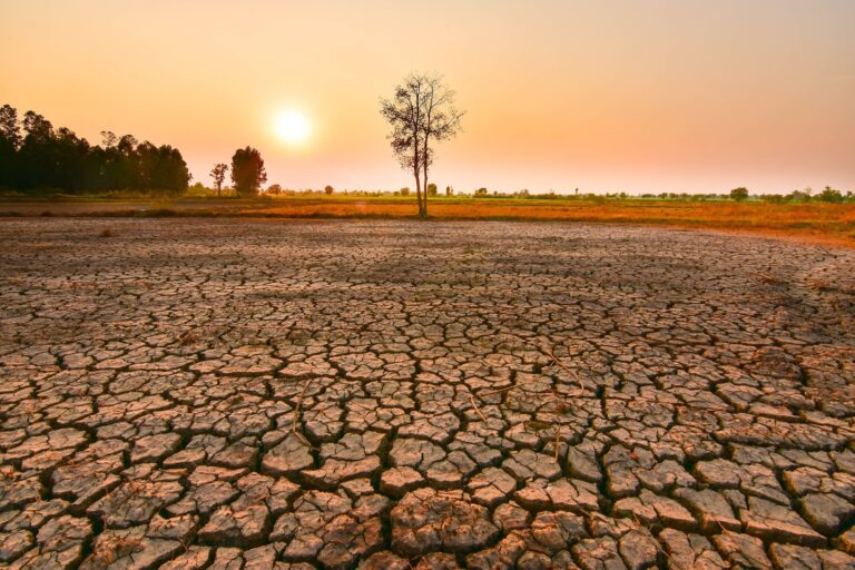Alarma por El Niño 2026: El mapa de los países más afectados en América Latina y las medidas de emergencia