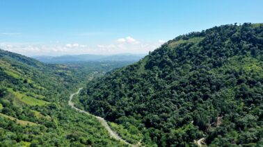 ¿Cuáles son las consecuencias que puede enfrentar una persona por cometer un delito medioambiental en RD?