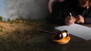 ¿Cuáles son las consecuencias que puede enfrentar una persona por cometer un delito medioambiental en RD?