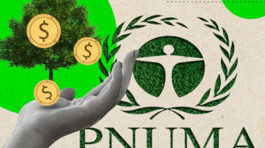 ¿Dónde invertir US$1 puede devolver US$15? La ONU revela el negocio detrás del aire limpio