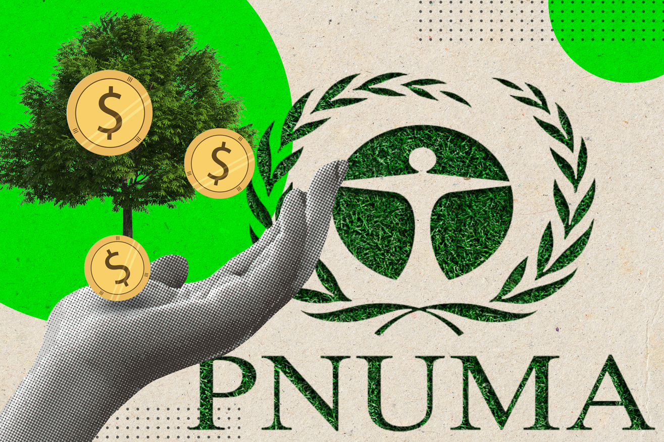 La ONU sostiene que cada dólar invertido a favor del clima y el aire puede generar 15 de beneficio