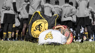 «La liga podría desaparecer»: La grave advertencia desde las Águilas Cibaeñas que sacude al béisbol dominicano