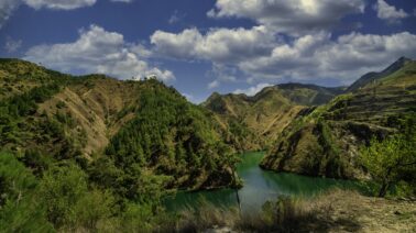 RD eleva la protección ambiental con decreto: ¿qué implica combatir el “terrorismo medioambiental”?