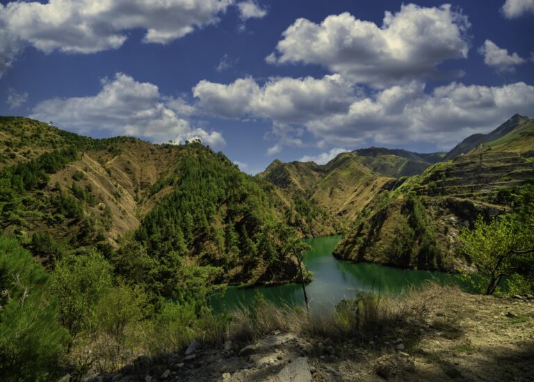 RD eleva la protección ambiental con decreto: ¿qué implica combatir el “terrorismo medioambiental”?