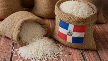Arroz en RD: ¿cómo cambia el mercado tras la eliminación del régimen arancelario?