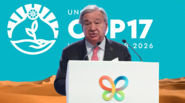 COP17 de biodiversidad 2026: cuándo es, dónde se celebra y cuáles son los principales objetivos