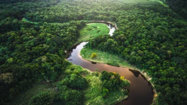 Los 8 países con más biodiversidad del mundo y el tamaño de sus economías en 2026