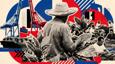 ¿Cuánto tabaco producirá República Dominicana en 2026-2027? Proyecciones, exportaciones y principales mercados