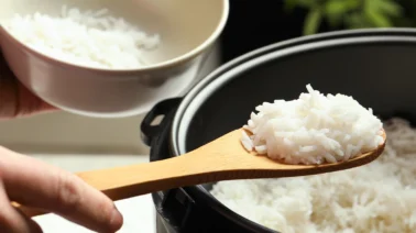 ¿Por qué los arroceros de Montecristi temen al arroz de EE. UU.? Hay 15,000 empleos en juego