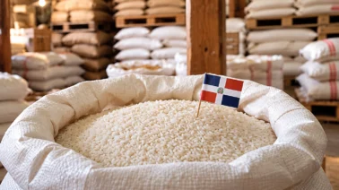 ¿Por qué producir arroz en RD cuesta más que en EE. UU.? La brecha de rendimiento que mide el USDA