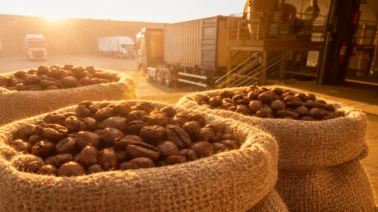 ¿Qué alimentos podrían subir de precio por El Niño? Lo que proyecta Citi para el azúcar, el café y el arroz